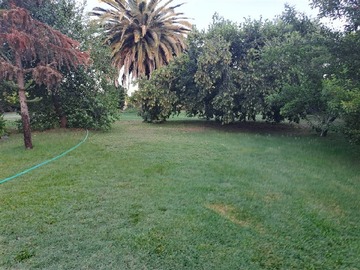 Imagen 27