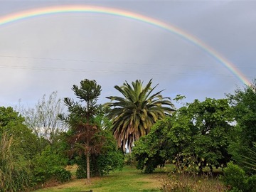 Imagen 0
