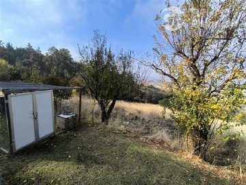 Imagen 19