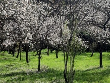 Imagen 19