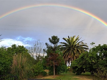 Imagen 9