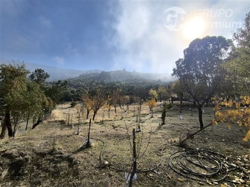 Imagen 14