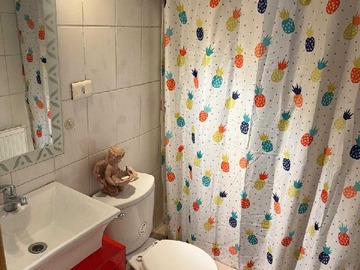 Imagen 21