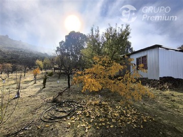 Imagen 6