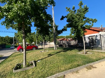 Imagen 5