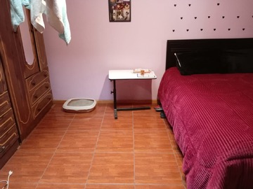 Imagen 10