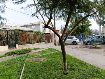 Imagen 20