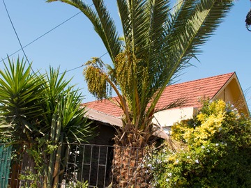 Venta / Casa / San Joaquín