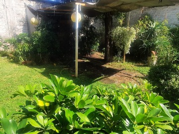 Imagen 5