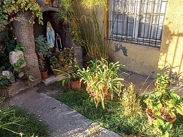 Imagen 5