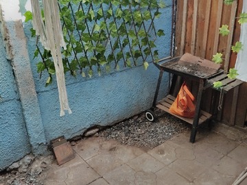 Imagen 6