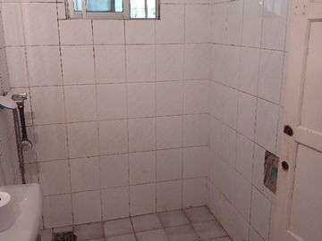 Imagen 11