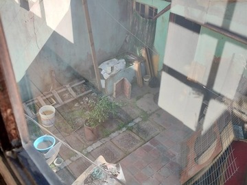 Imagen 11