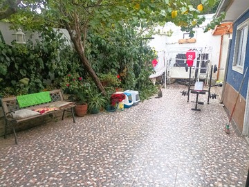 Imagen 6