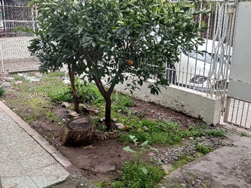 Imagen 17
