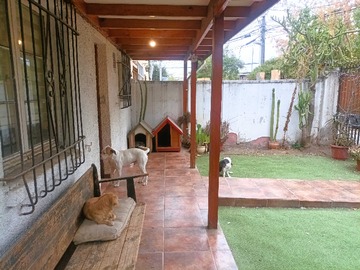 Imagen 19