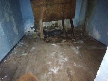 Imagen 16