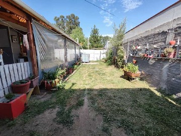 Imagen 20