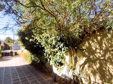 Imagen 16