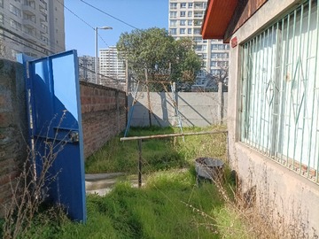 Imagen 6