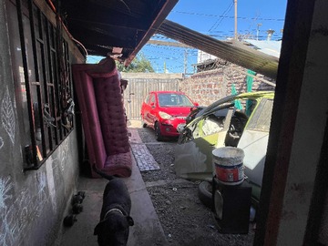 Imagen 5