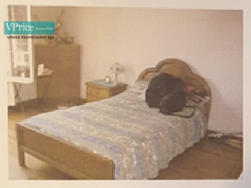 Imagen 6