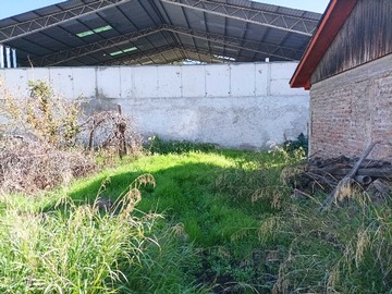 Imagen 12