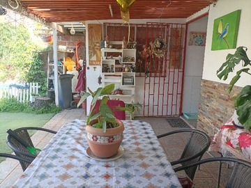 Imagen 19
