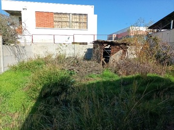 Imagen 11