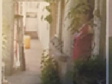Imagen 5