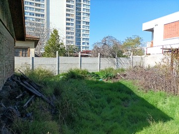 Imagen 14