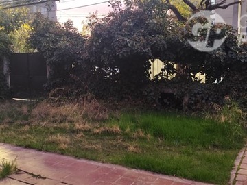 Imagen 7