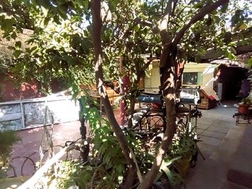 Imagen 12