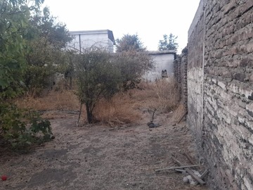 Imagen 8