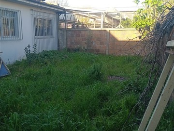Imagen 15