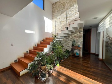 Imagen 8