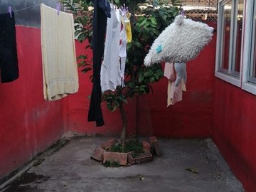 Imagen 15