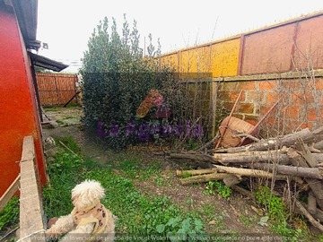 Imagen 11