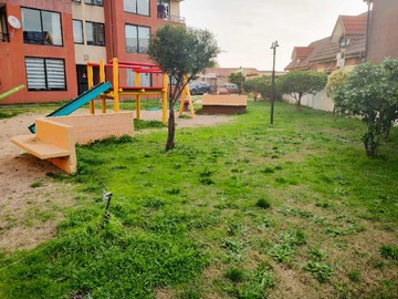 Imagen 19