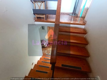 Imagen 6