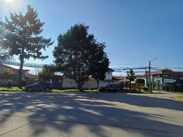 Imagen 6