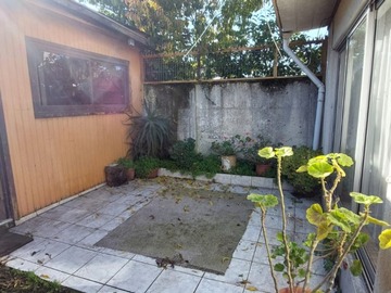 Imagen 11