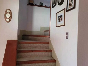Imagen 13