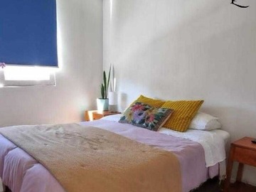 Imagen 10