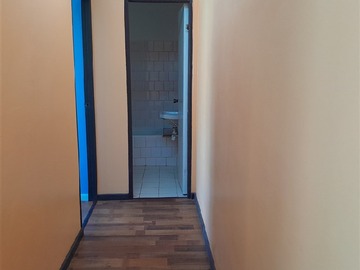 Imagen 12