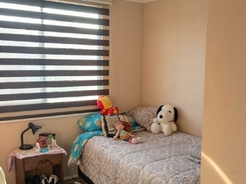 Imagen 8