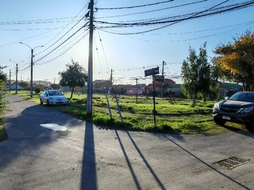 Imagen 20