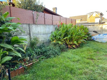 Imagen 14