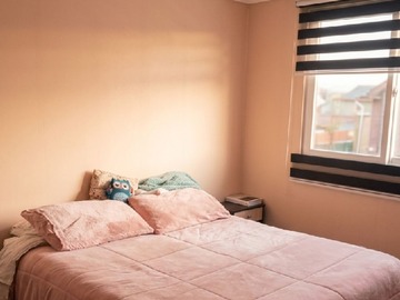 Imagen 6