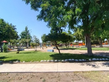Imagen 15